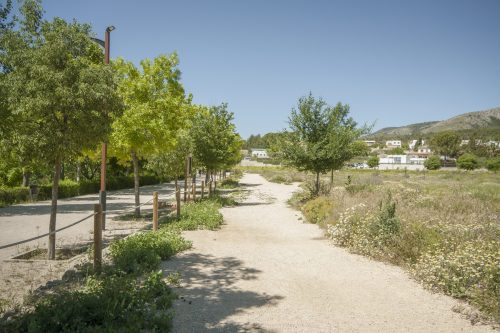 parque mayrena caravaca roberto marin paisajismo murcia rmpaisajismo 511