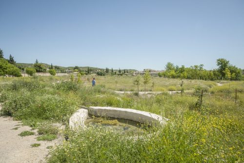 parque mayrena caravaca roberto marin paisajismo murcia rmpaisajismo 515