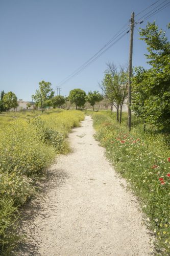 parque mayrena caravaca roberto marin paisajismo murcia rmpaisajismo 516