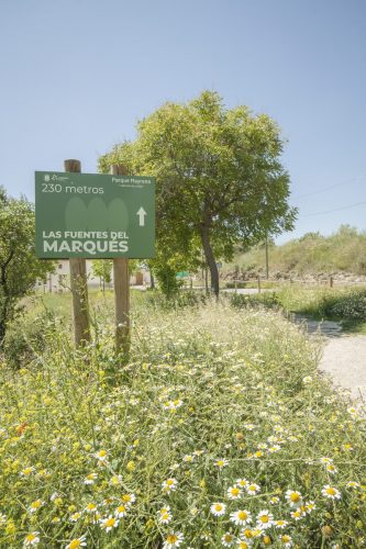 parque mayrena caravaca roberto marin paisajismo murcia rmpaisajismo 517