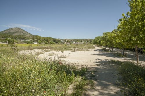 parque mayrena caravaca roberto marin paisajismo murcia rmpaisajismo 520