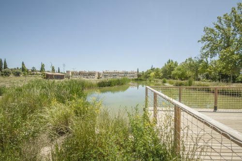 parque mayrena caravaca roberto marin paisajismo murcia rmpaisajismo 524
