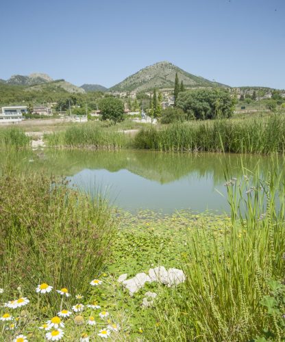 parque mayrena caravaca roberto marin paisajismo murcia rmpaisajismo 525