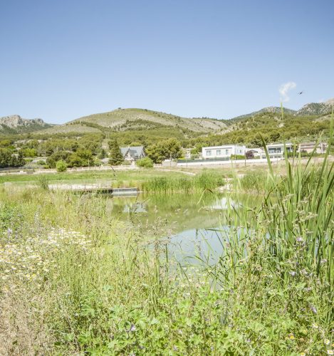parque mayrena caravaca roberto marin paisajismo murcia rmpaisajismo 526