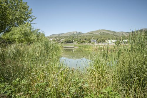 parque mayrena caravaca roberto marin paisajismo murcia rmpaisajismo 527