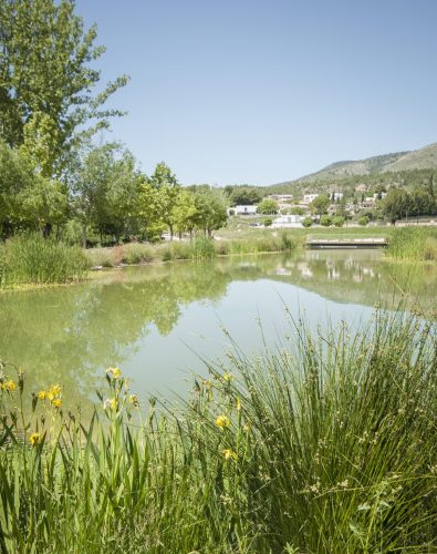 parque mayrena caravaca roberto marin paisajismo murcia rmpaisajismo 528