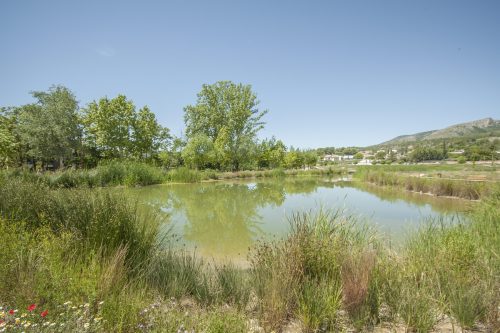 parque mayrena caravaca roberto marin paisajismo murcia rmpaisajismo 529