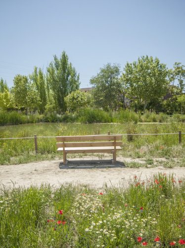 parque mayrena caravaca roberto marin paisajismo murcia rmpaisajismo 533
