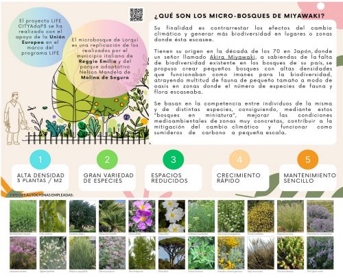 rmpaisajismo paisajismo murcia lorqui semiarido autoctono bosque miyawaki roberto marin 00