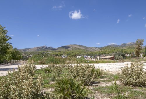 parque mayrena caravaca roberto marin paisajismo murcia rmpaisajismo gigante tomir 15